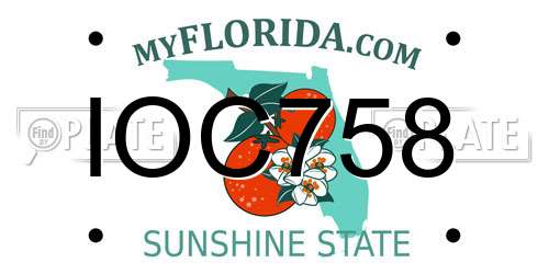 IOC758 Florida License Plate