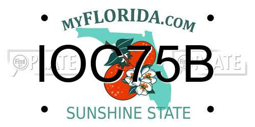 IOC75B Florida License Plate