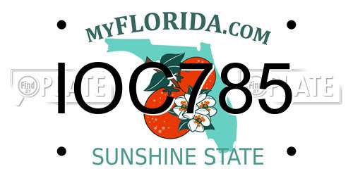 IOC785 Florida License Plate