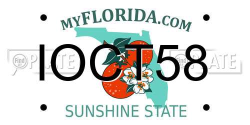 IOCT58 Florida License Plate