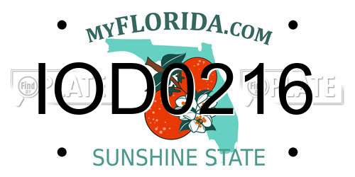 IOD0216 Florida License Plate