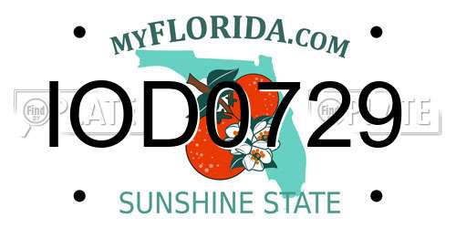 IOD0729 Florida License Plate