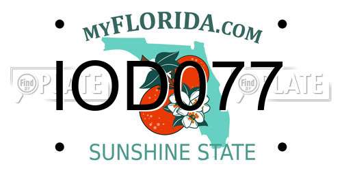 IOD077 Florida License Plate