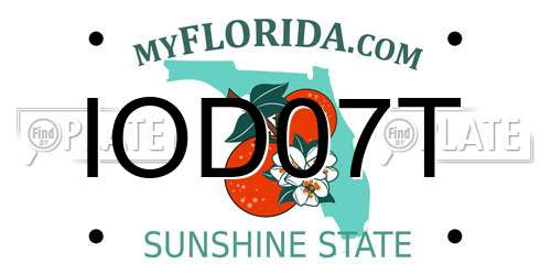 IOD07T Florida License Plate