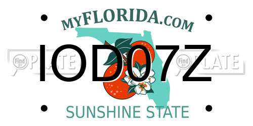 IOD07Z Florida License Plate