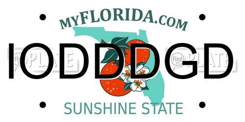 IODDDGD Florida License Plate
