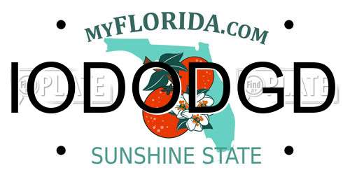 IODODGD Florida License Plate