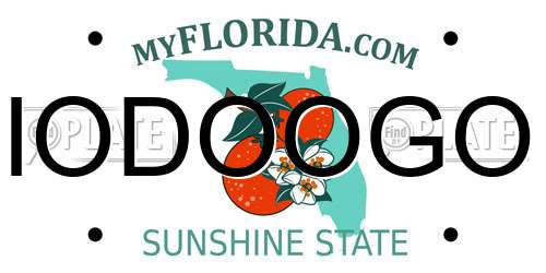 IODOOGO Florida License Plate