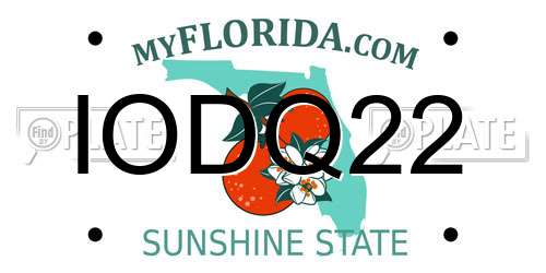 IODQ22 Florida License Plate
