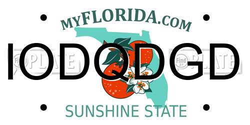 IODQDGD Florida License Plate
