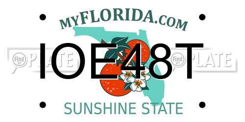 IOE48T Florida License Plate