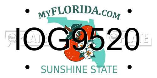 IOG9520 Florida License Plate