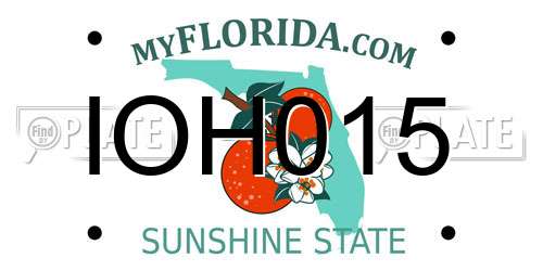 IOH015 Florida License Plate