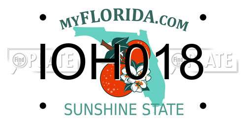 IOH018 Florida License Plate