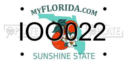IOO022 Florida License Plate