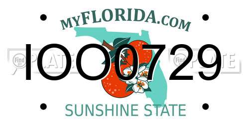 IOO0729 Florida License Plate