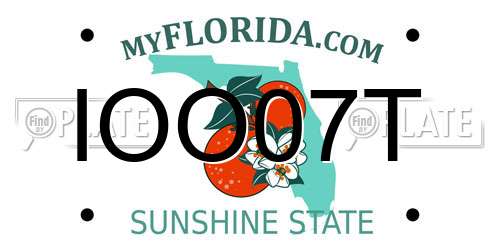 IOO07T Florida License Plate