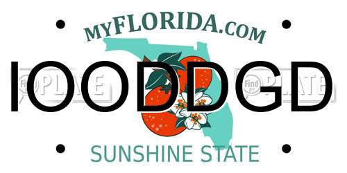 IOODDGD Florida License Plate