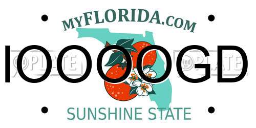 IOOOOGD Florida License Plate