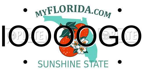 IOOOOGO Florida License Plate