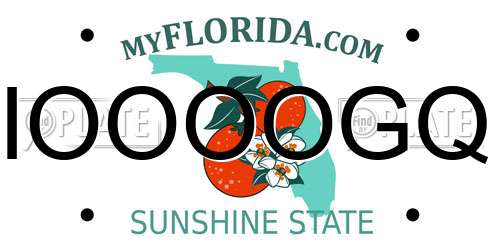 IOOOOGQ Florida License Plate