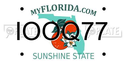 IOOQ77 Florida License Plate