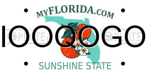IOOQOGO Florida License Plate