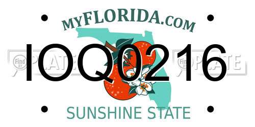 IOQ0216 Florida License Plate