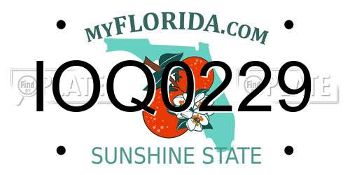 IOQ0229 Florida License Plate