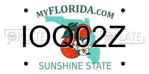 IOQ02Z Florida License Plate