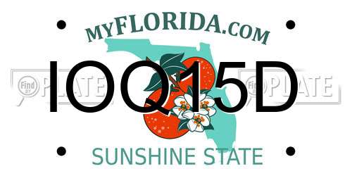 IOQ15D Florida License Plate