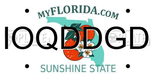 IOQDDGD Florida License Plate