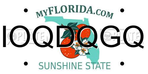 IOQDQGQ Florida License Plate