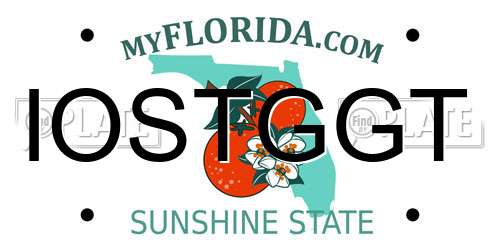 IOSTGGT Florida License Plate