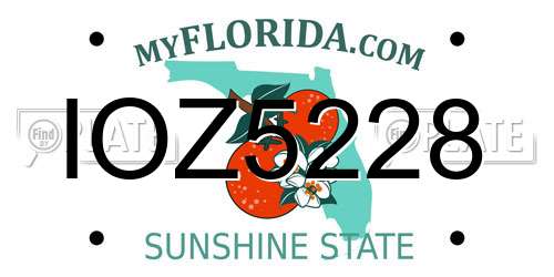 IOZ5228 Florida License Plate