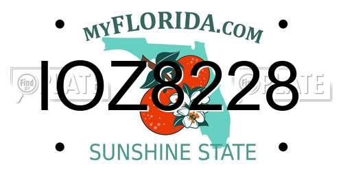 IOZ8228 Florida License Plate