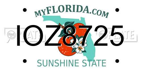 IOZ8725 Florida License Plate