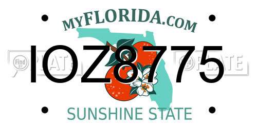 IOZ8775 Florida License Plate