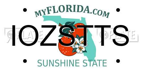 IOZSTTS Florida License Plate