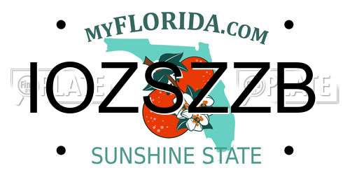 IOZSZZB Florida License Plate