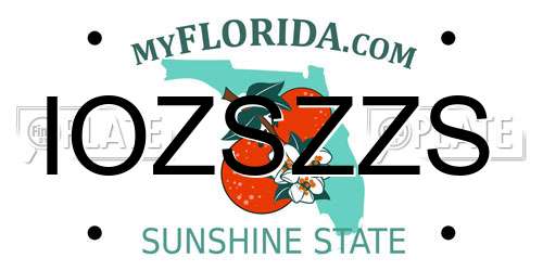 IOZSZZS Florida License Plate