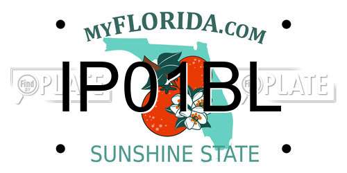 IP01BL Florida License Plate