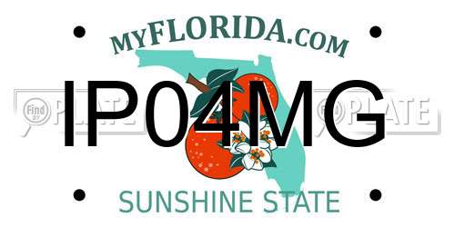 IP04MG Florida License Plate