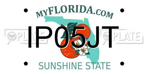 IP05JT Florida License Plate