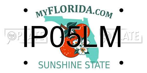 IP05LM Florida License Plate