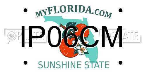 IP06CM Florida License Plate
