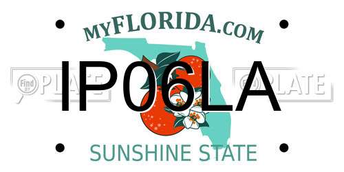 IP06LA Florida License Plate