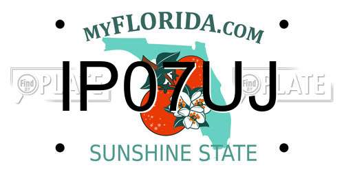 IP07UJ Florida License Plate