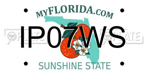 IP07WS Florida License Plate