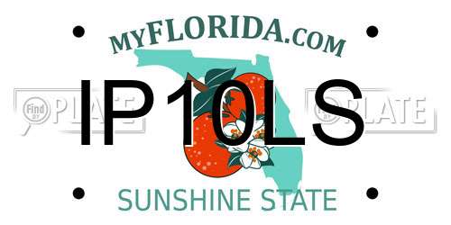 IP10LS Florida License Plate